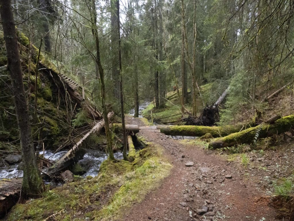 Elver som renner fra Oslomarka til Oslofjorden: Her Styggedalsbekken som renner gjennom Styggedalen og ender som Hoffselva ut i fjorden.