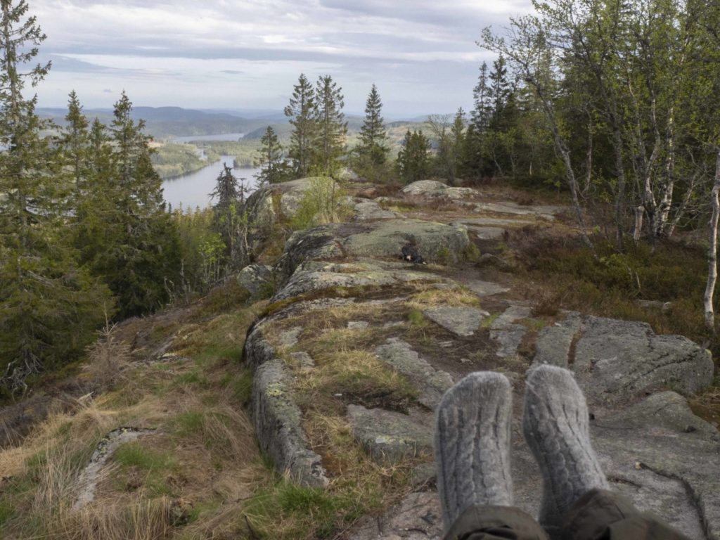 Mange trær til Hengekøya på toppen av Kjerkeberget