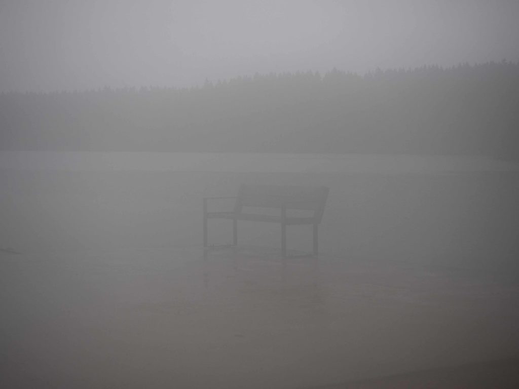 Sognsvann i tåke og regn