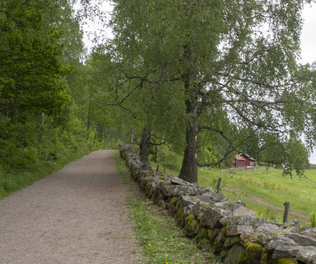 Steingjerdene ved Nordre og Søndre Skuggen