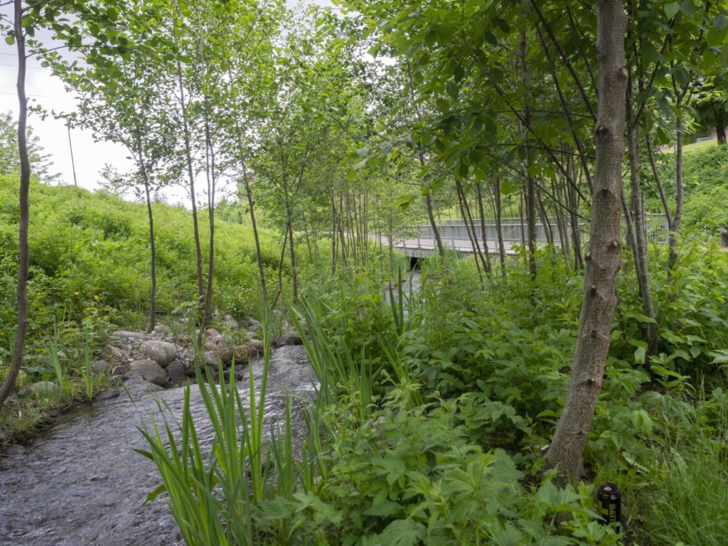 Bjerkedalen park