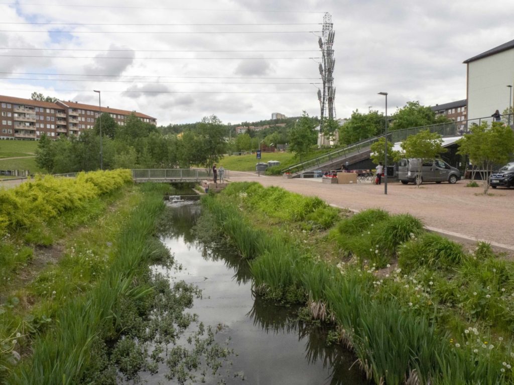 Bjerkedalen park