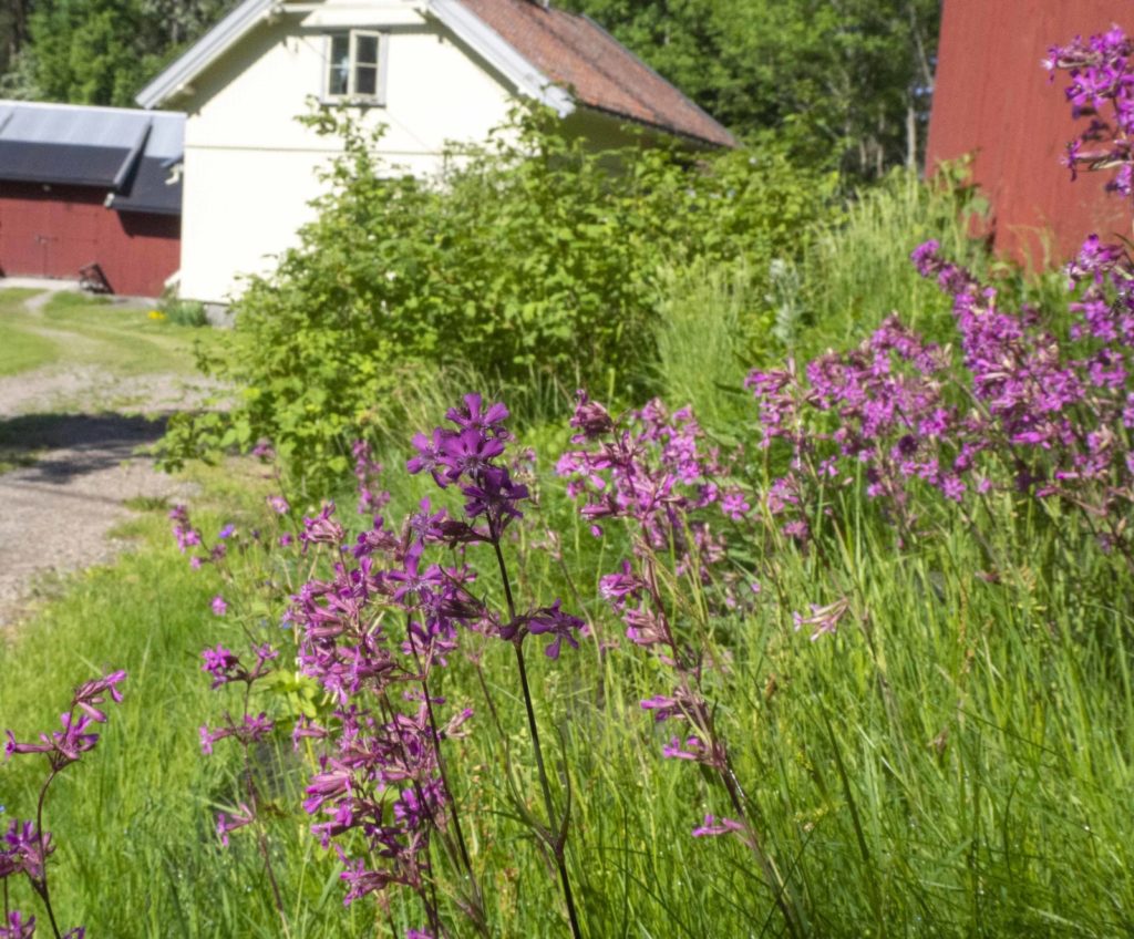 Ljanselva miljøpark