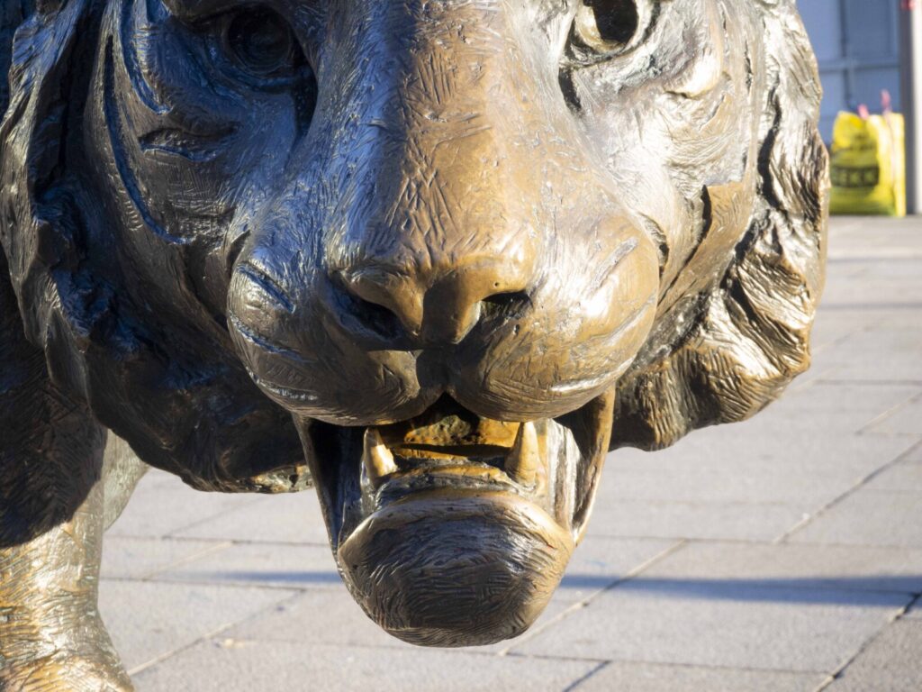 Tigeren på Jernbanetorget av Elena Engelstad 