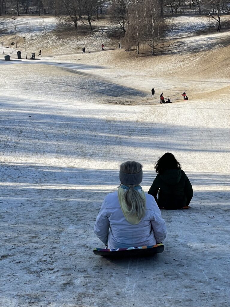 Akebakken i Torshovdalen