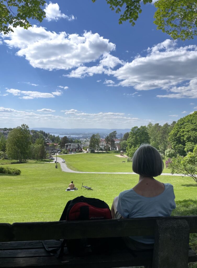 Utsikt fra Nordre Skøyen hovedgård
