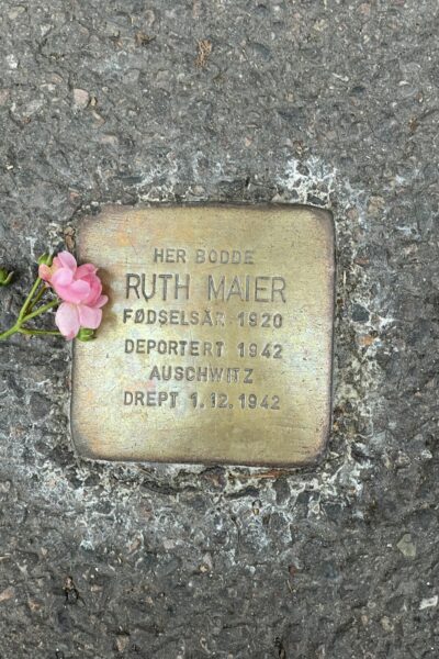 Snublestein - Ruth Maier