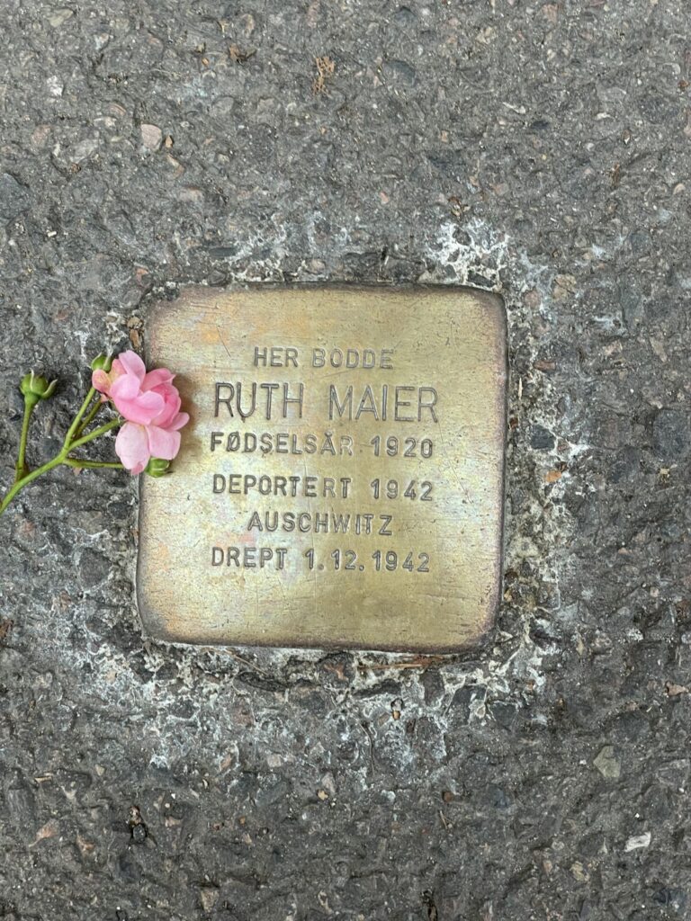 Snublestein - Ruth Maier 