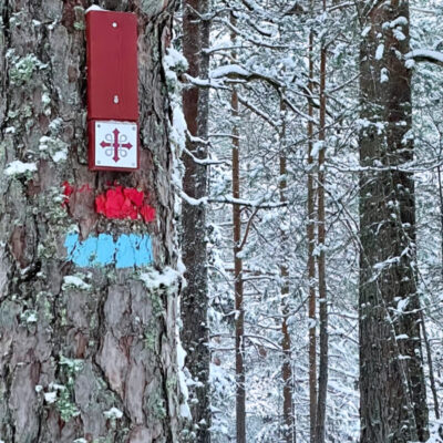 Oldtidsveien over Grønliåsen